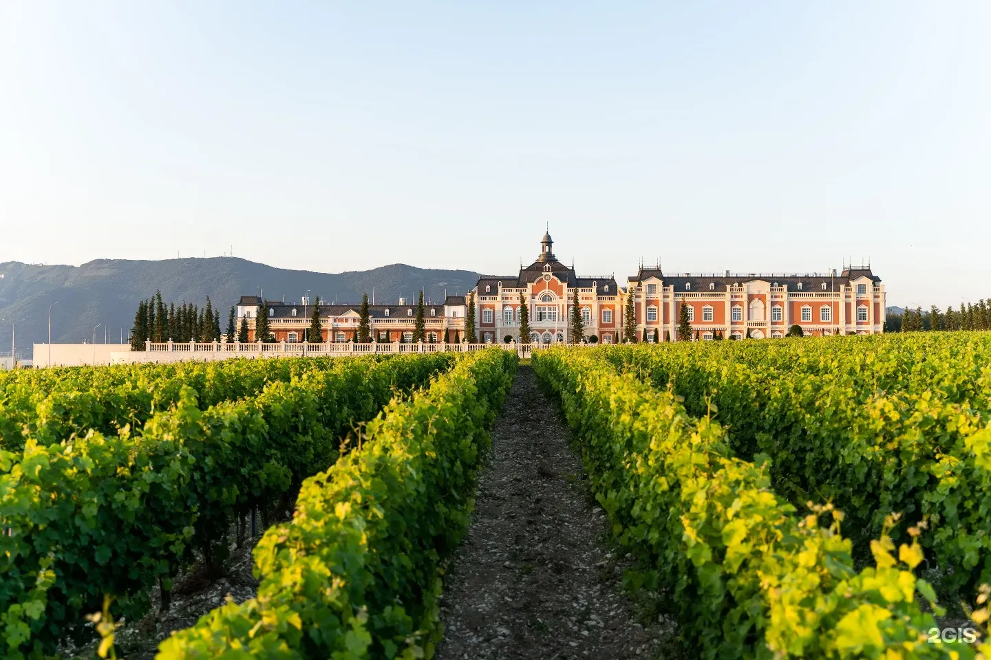 WSTD_B_винодельнигеленжика2